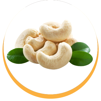 cashew-kernels-white-wholes